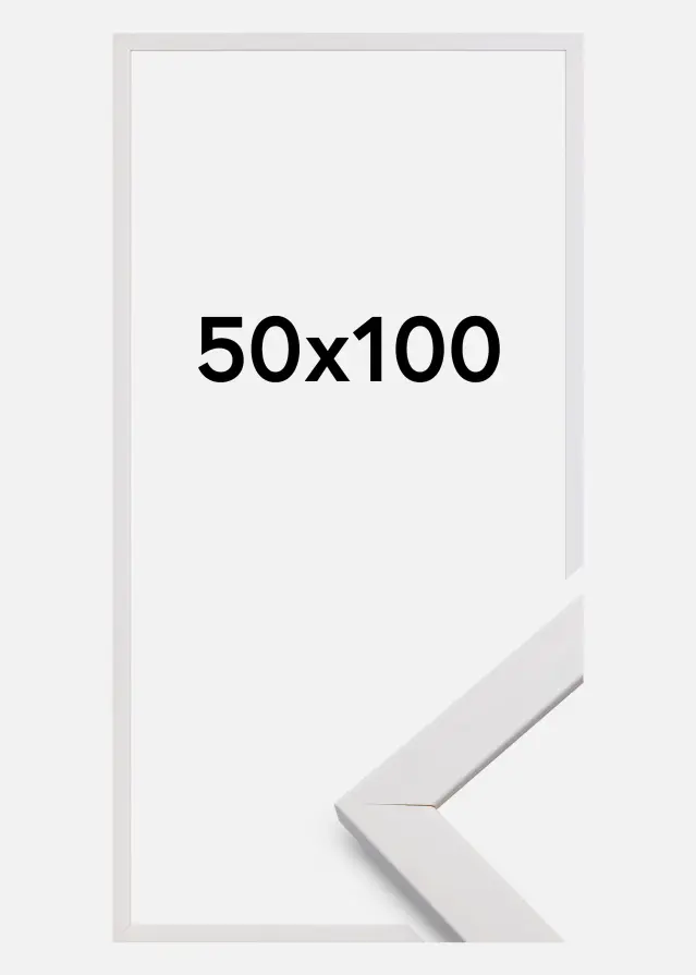 Ramme Stilren Hvid 50x100 cm