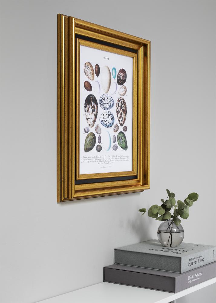 Ramme Gysinge Premium Guld 29,7x42 cm (A3)