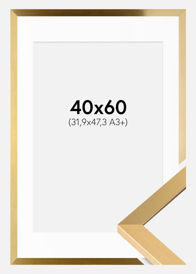 Ramme Selection Guld 40x60 cm - Passepartout Hvid 32,9x48,3 cm (A3+)