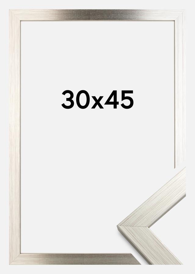 Ramme Silver Wood 30x45 cm