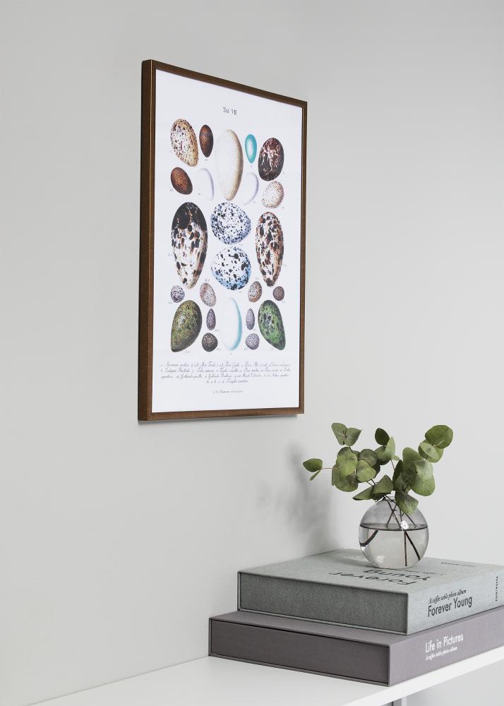 Ramme New Lifestyle Akrylglas Blå 42x59,4 cm (A2)