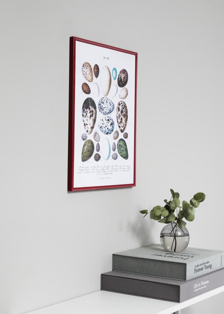 Ramme New Lifestyle Rød 60x80 cm
