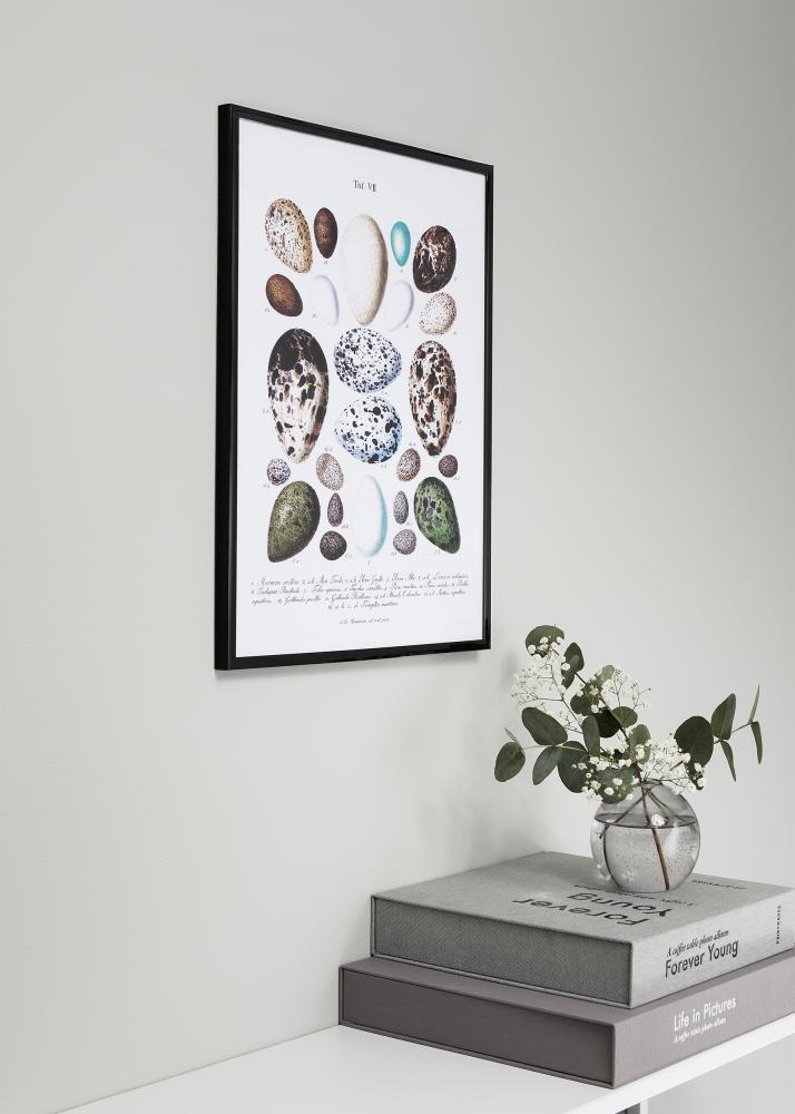 New Lifestyle Sort 18x24 cm + Passepartout hvid til 13x18 cm billeder