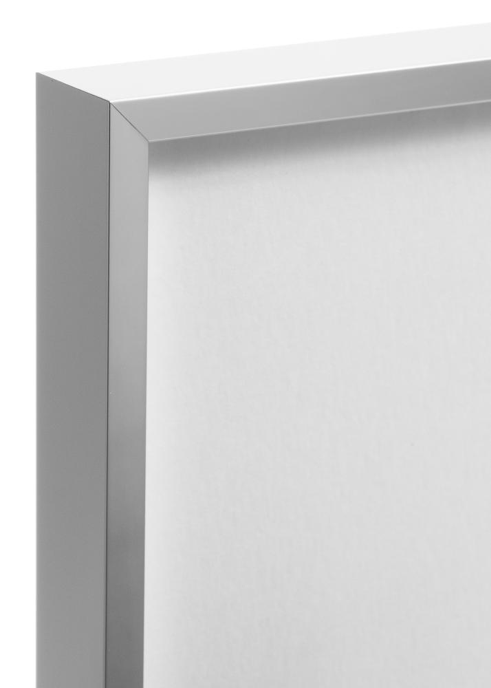 Ramme Nielsen Premium Alpha Blank Sølv 50x70 cm