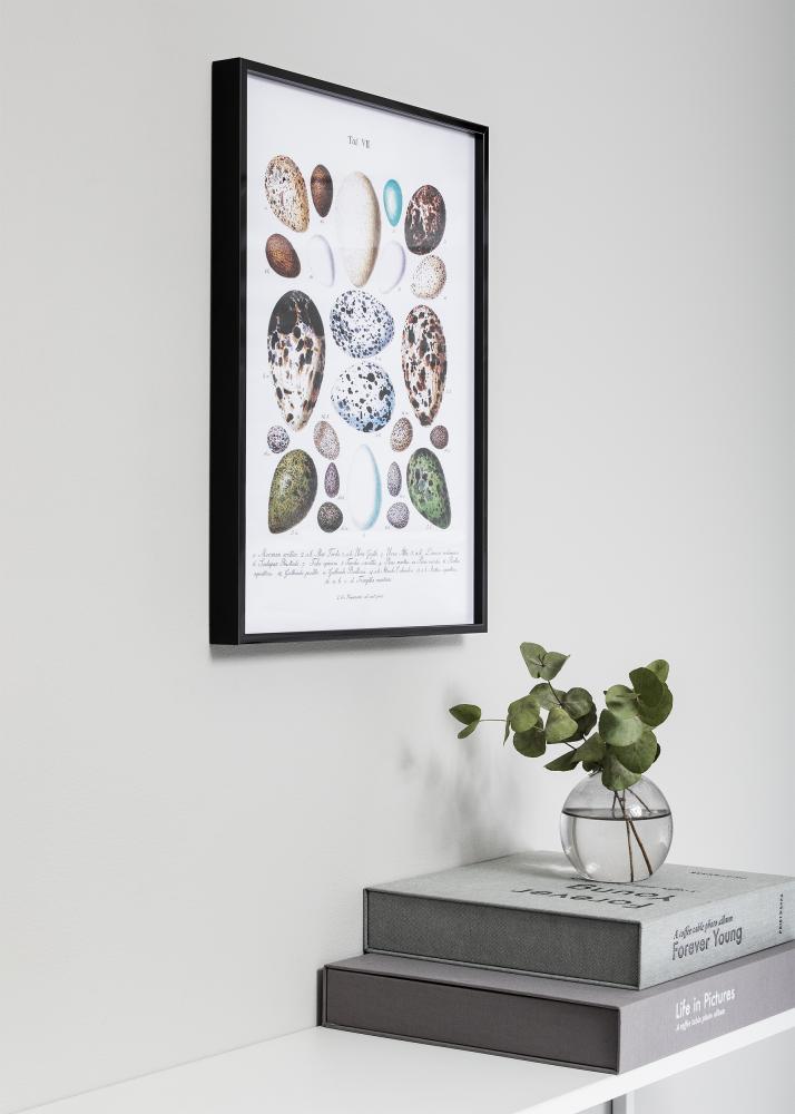 Ramme Nielsen Premium Alpha Blank Sort 50x70 cm