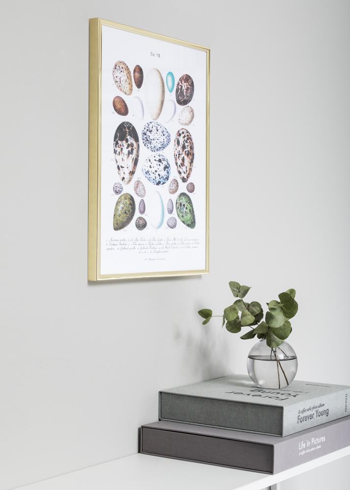Ramme Nielsen Premium Classic Guld 18x24 cm