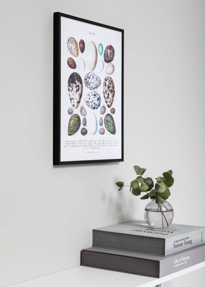 Ramme Nielsen Premium Classic Mat Sort 20x30 cm
