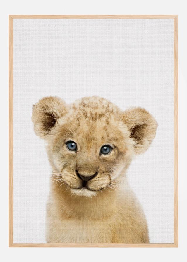 Peekaboo Baby Lion Plakat