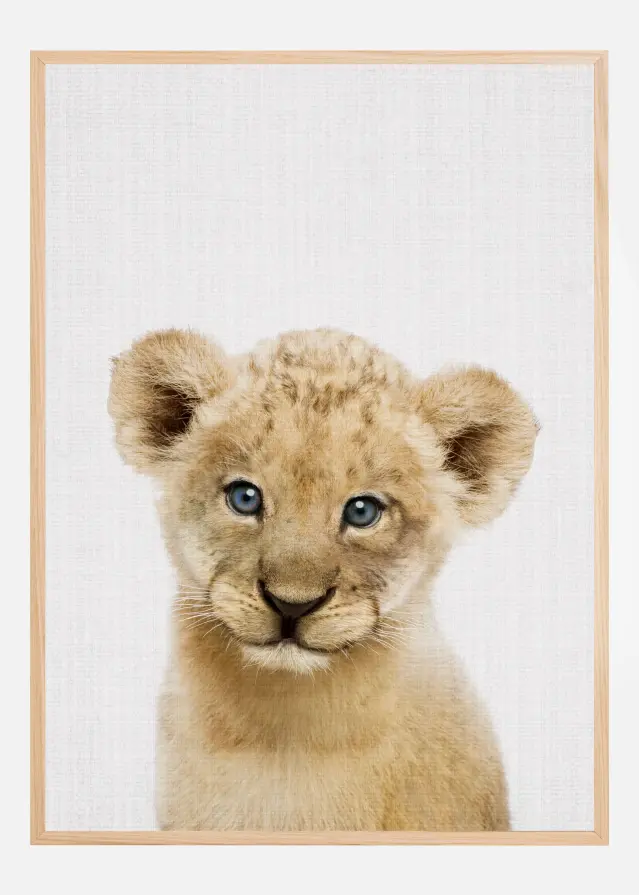 Peekaboo Baby Lion Plakat