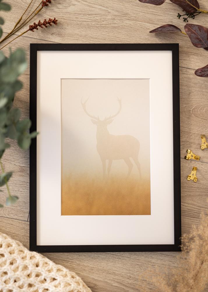 Ramme Moderne Akrylglas Sort 40x60 cm
