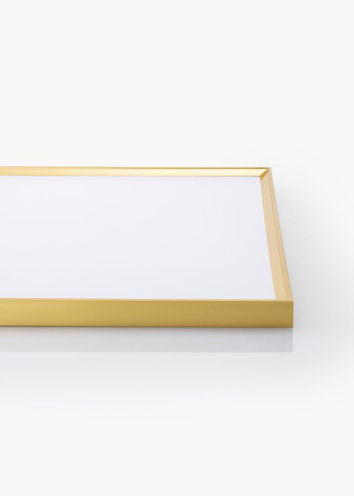 Ramme Desire Guld 70x100 cm