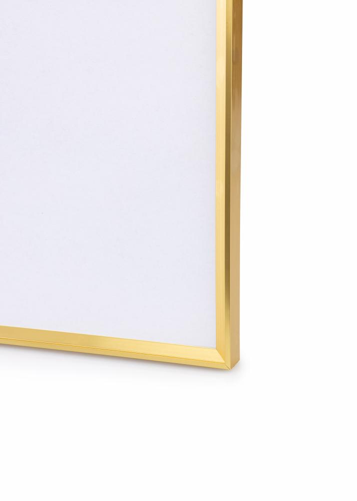 Ramme Desire Guld 70x100 cm