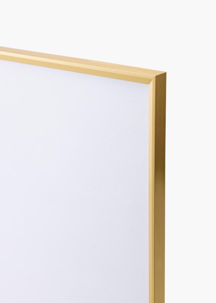 Ramme Desire Guld 70x100 cm