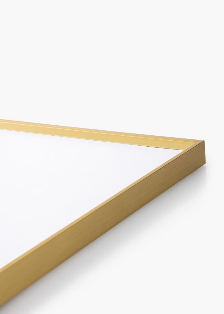 Ramme Desire Guld 70x100 cm