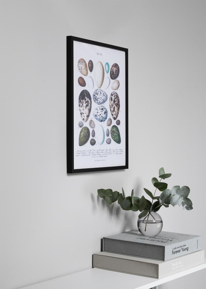 Ramme Oslo Sort 30x40 cm - Passepartout Hvid 18x27 cm