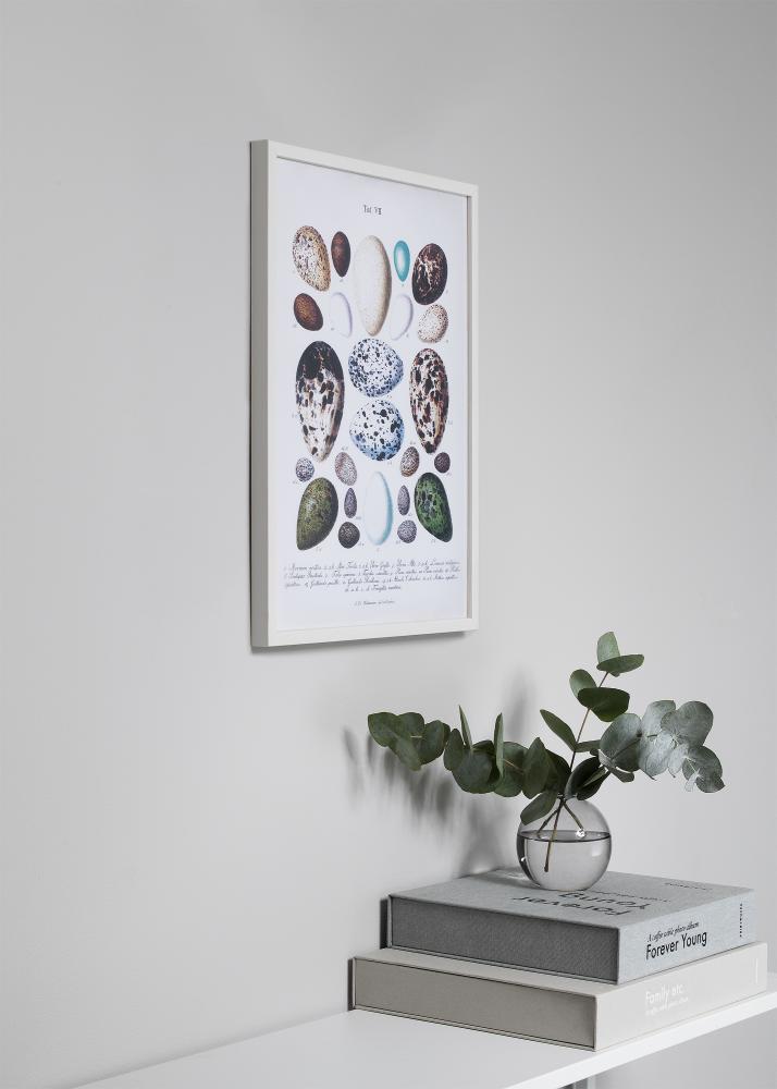 Ramme Oslo Akrylglas Hvid 13x18 cm