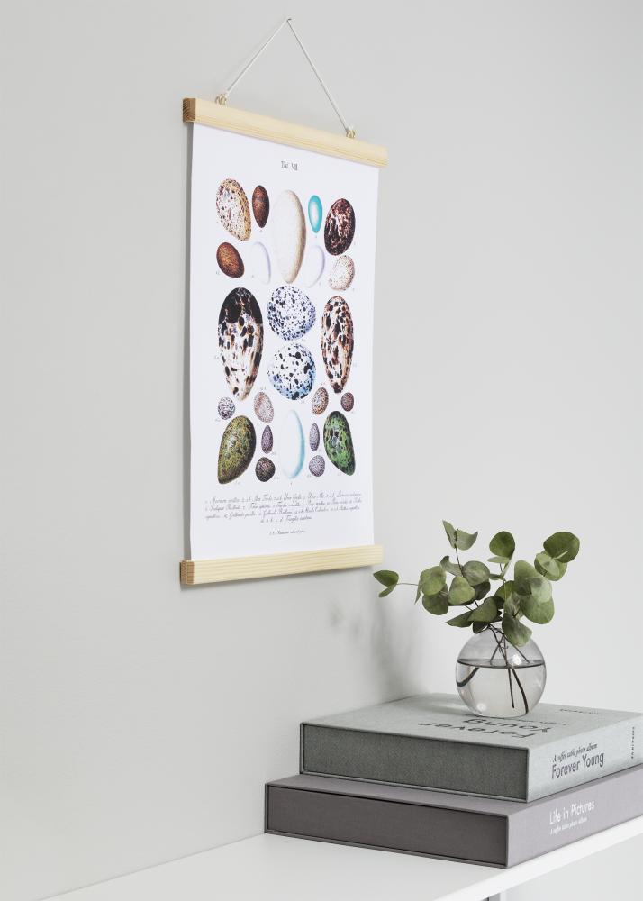 Plakatlister Nature - 70 cm