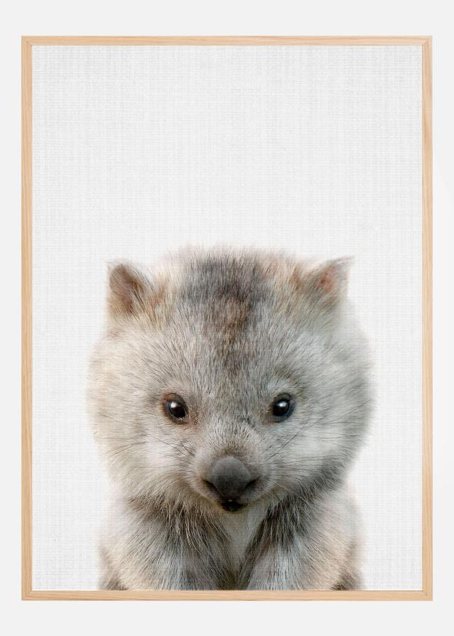 Peekaboo Baby Wombat Plakat