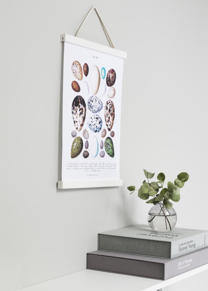 Plakatlister Hvid - 20 cm