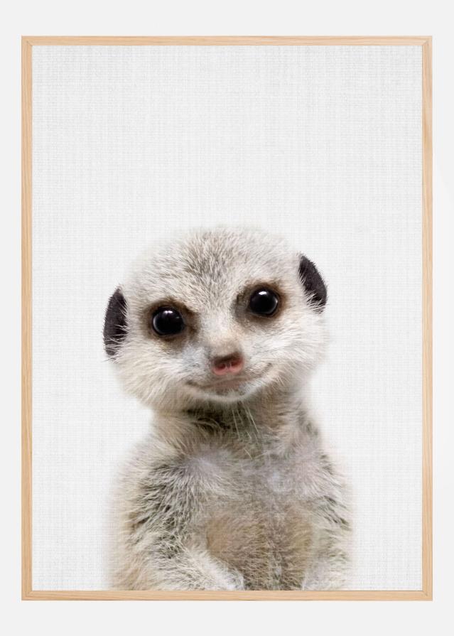 Peekaboo Baby Meerkat Plakat
