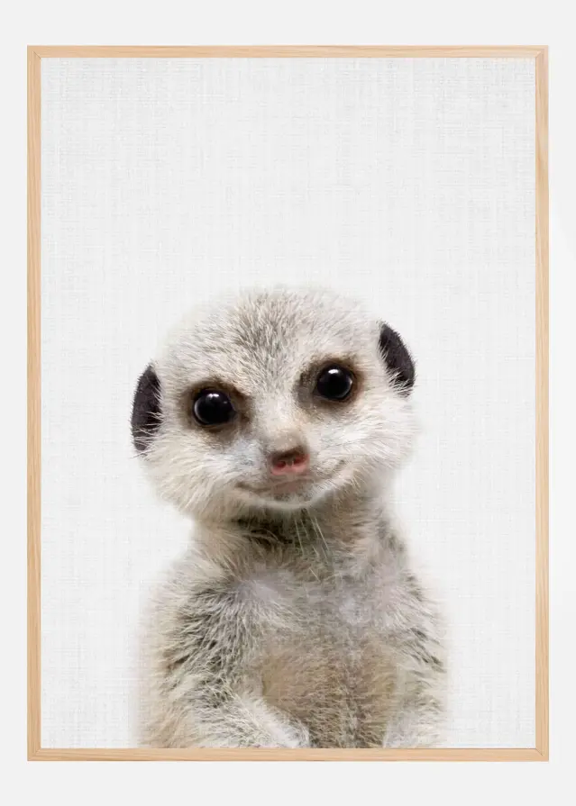 Peekaboo Baby Meerkat Plakat
