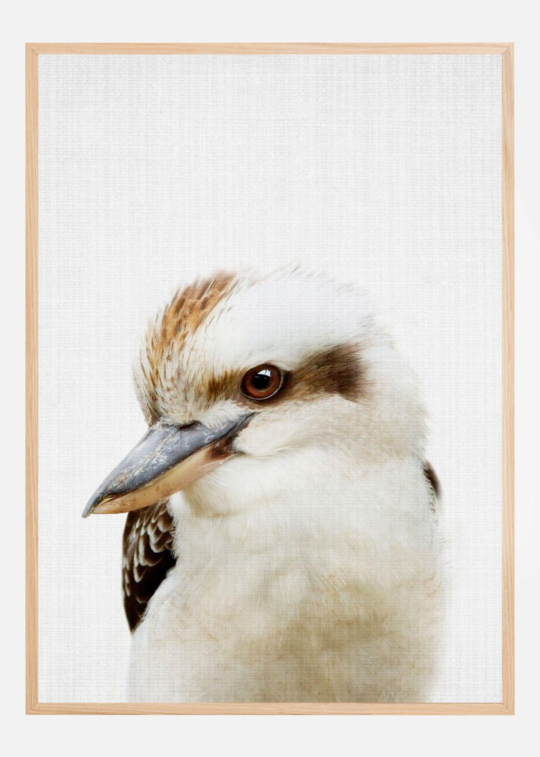 Product Image for Peekaboo Kookaburra Plakat (60x90 cm)