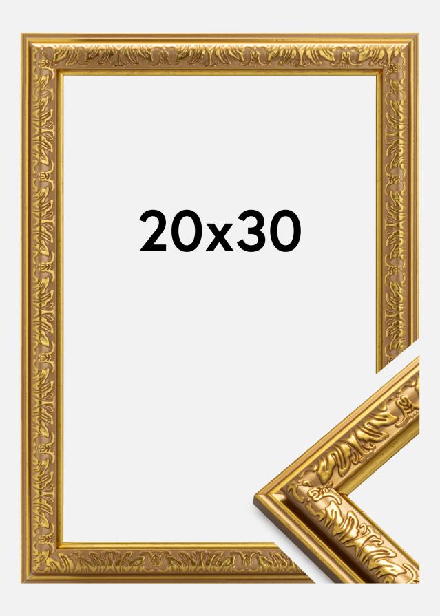 Ramme Nostalgia Guld 20x30 cm