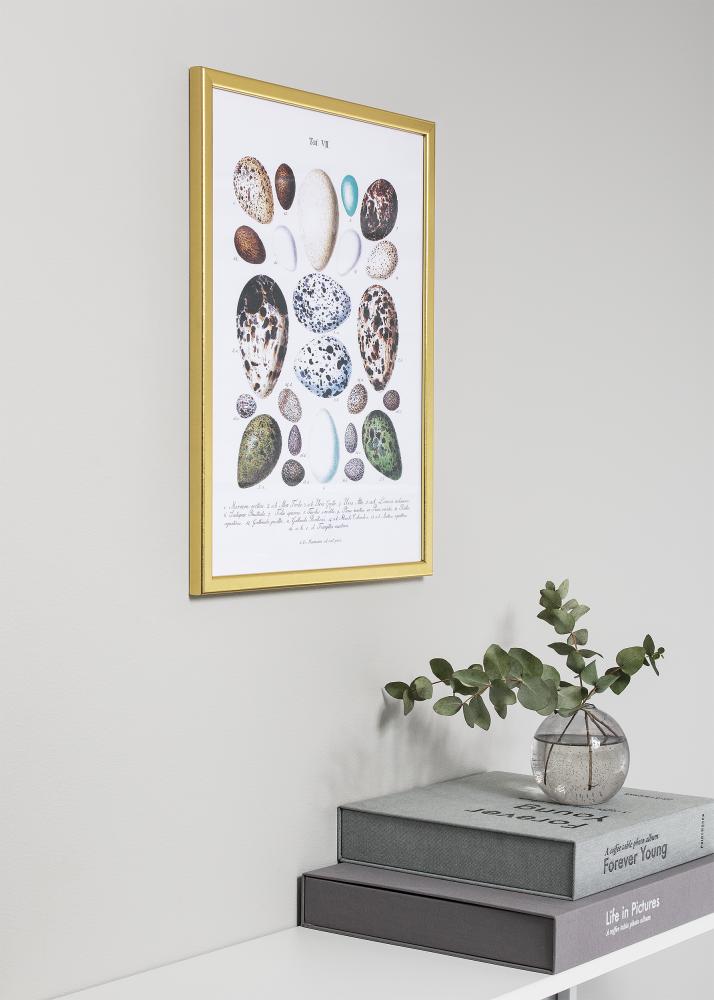 Ramme Slim Mat antirefleksglas Guld 15x21 cm (A5)
