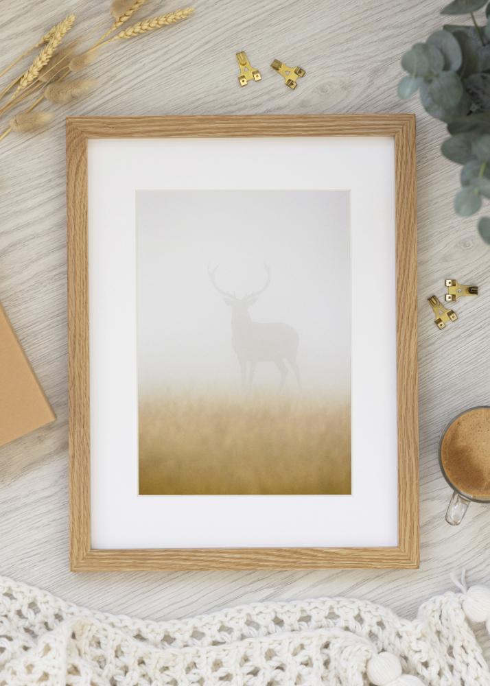 Premium by BGA Eg 70x100 cm