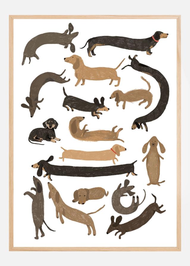 Dachshund Print Plakat