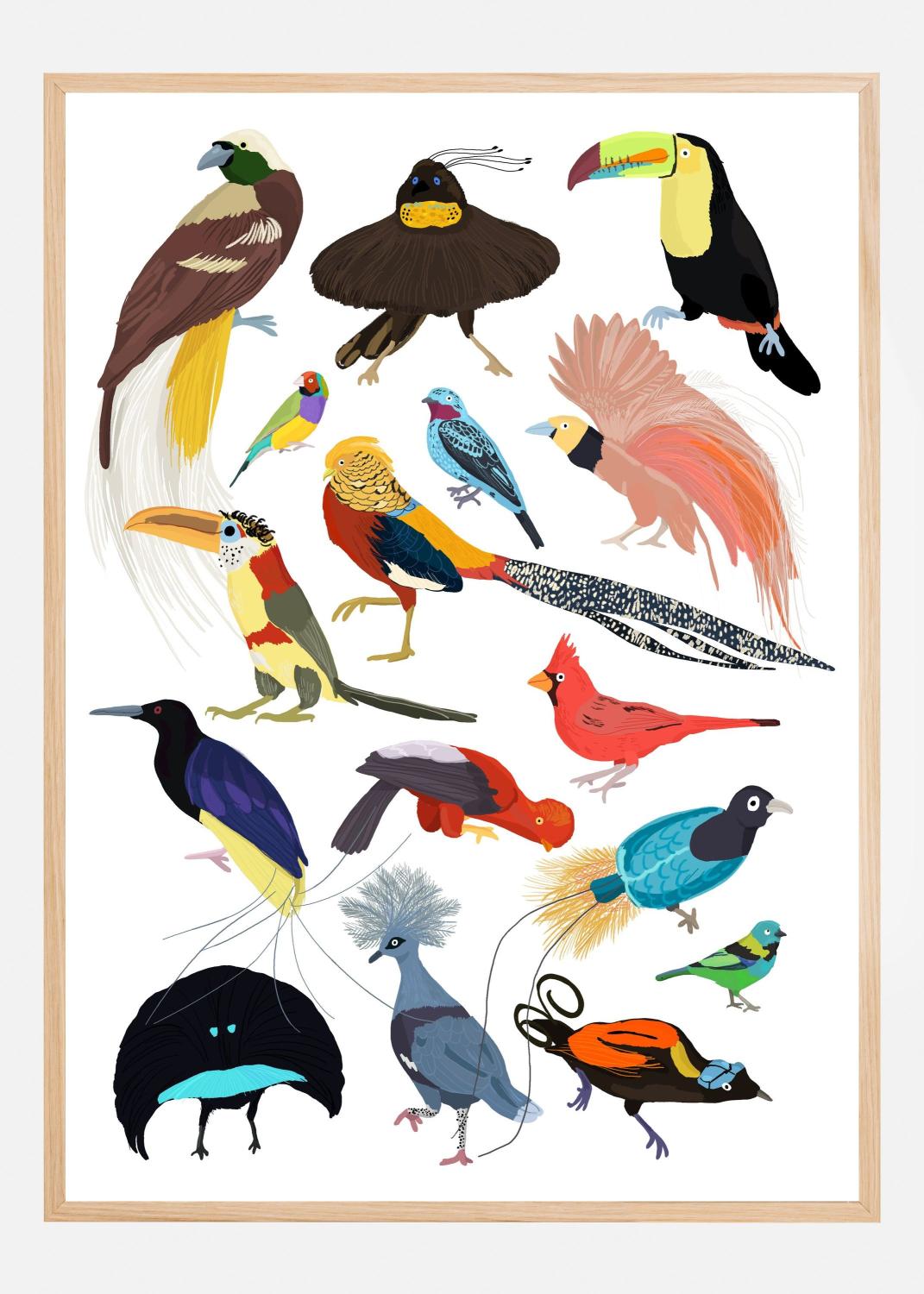 Product Image for Birds of Paradise Plakat (21x29.7 cm (A4))