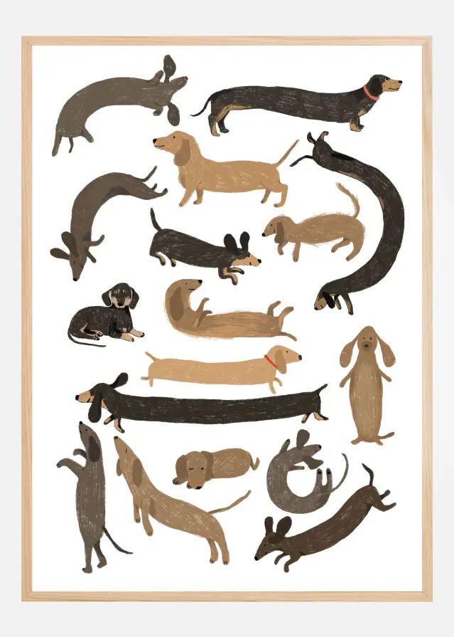Dachshund Print Plakat