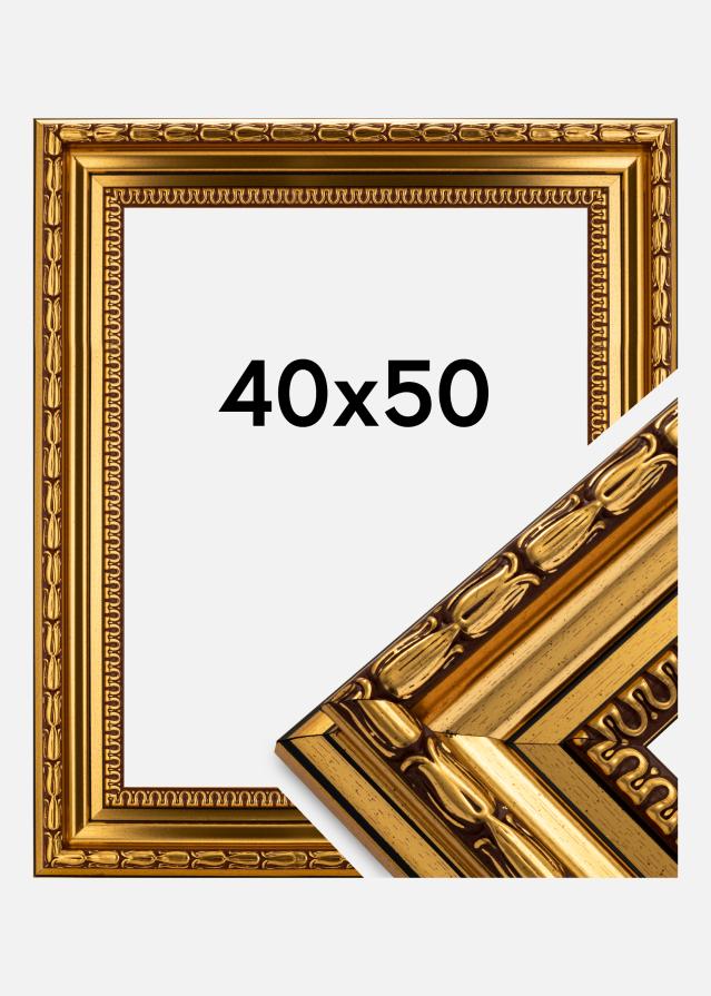 Ramme Birka Premium Guld 40x50 cm