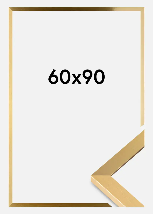 Ramme Selection Akrylglas Guld 60x90 cm