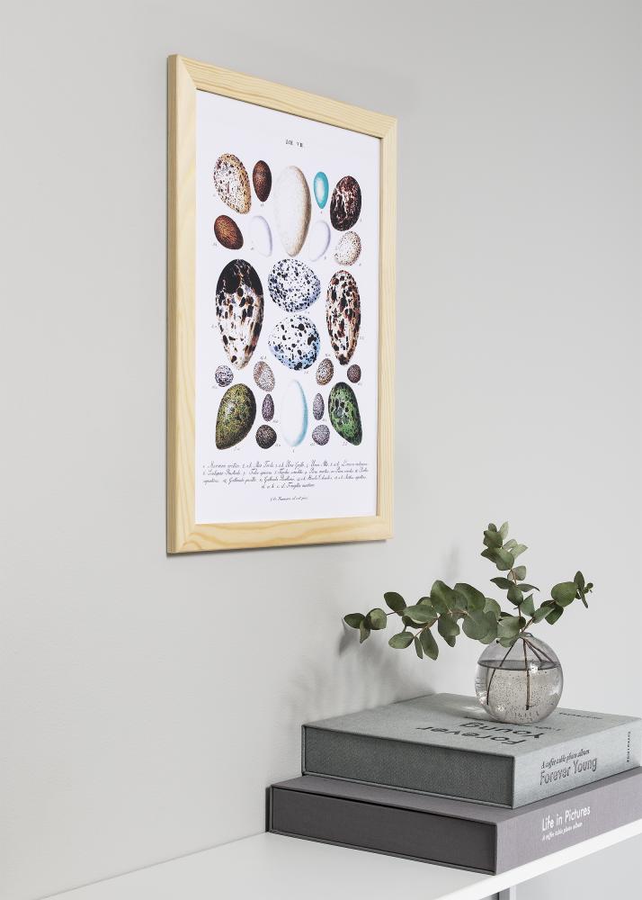 Ramme Trendline Akrylglas Nature 59,4x84 cm (A1)