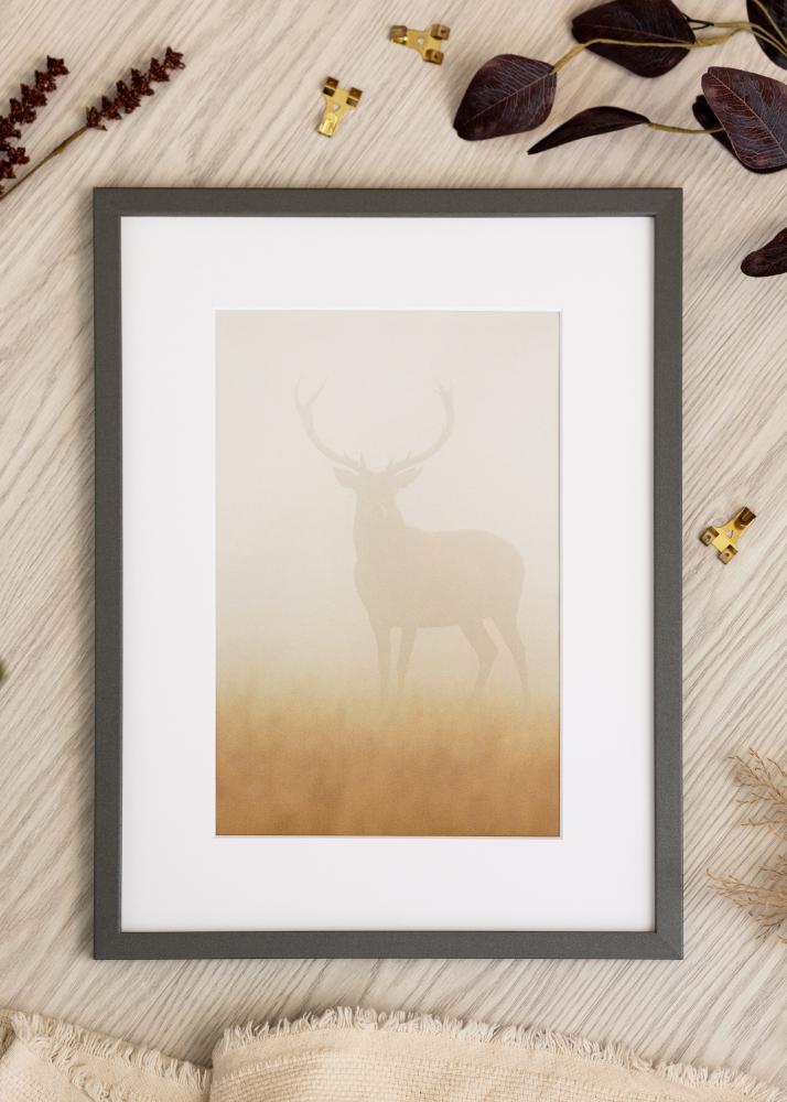 Ramme Modern Akrylglas Grafit 29,7x42cm (A3)
