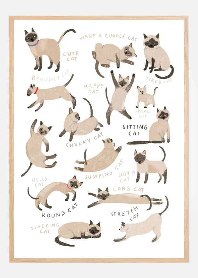 Siamese Cat Print Plakat