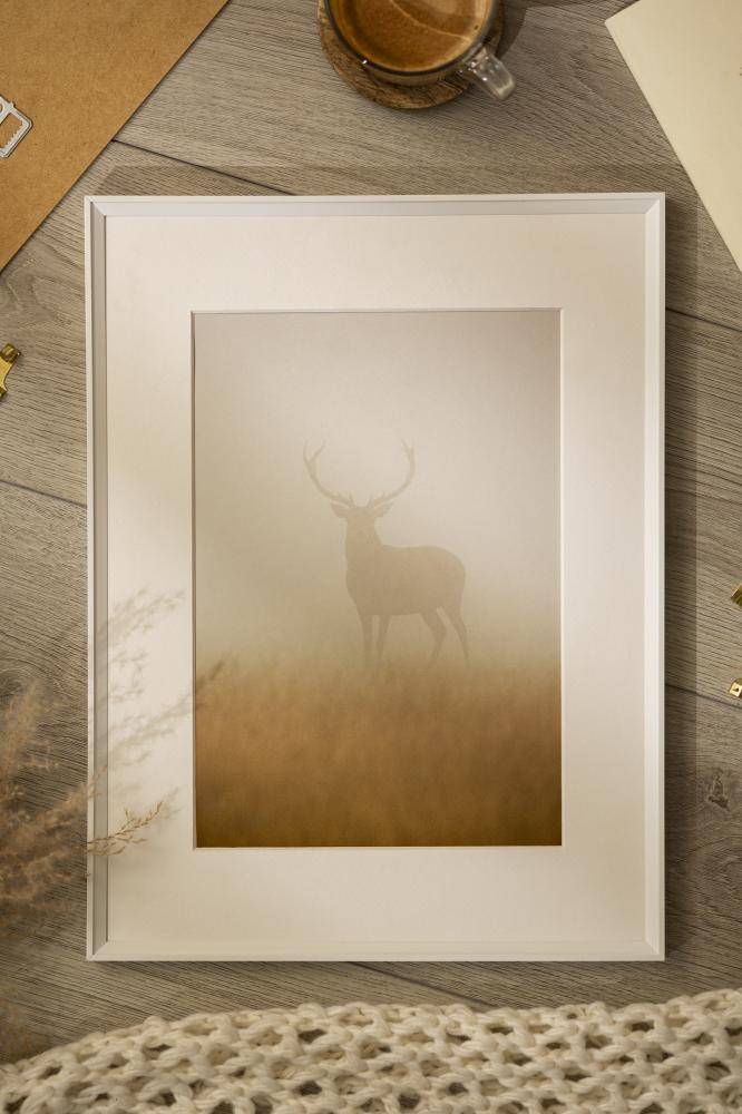 Ramme Desire Hvid 40x60 cm - Passepartout Hvid 25x50 cm