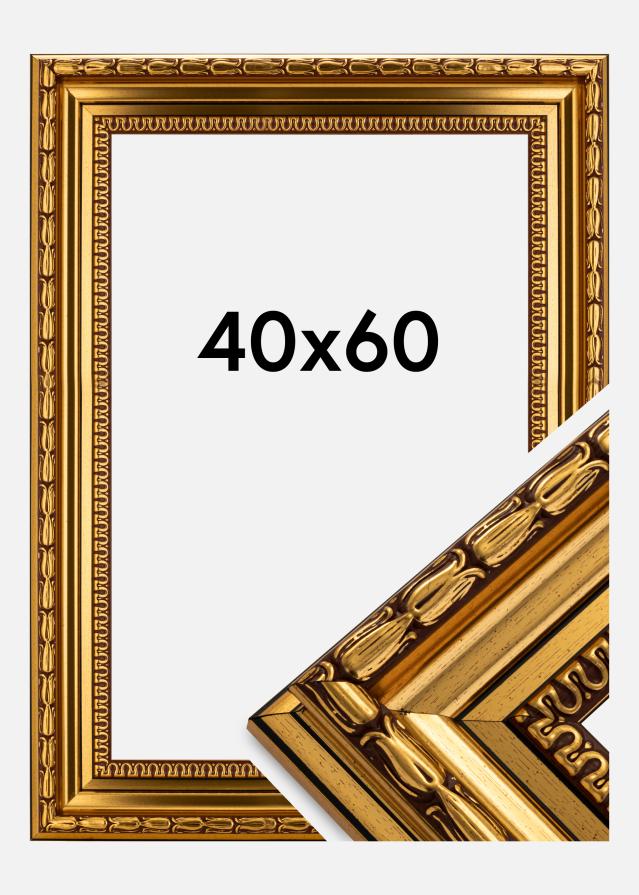 Ramme Birka Premium Guld 40x60 cm