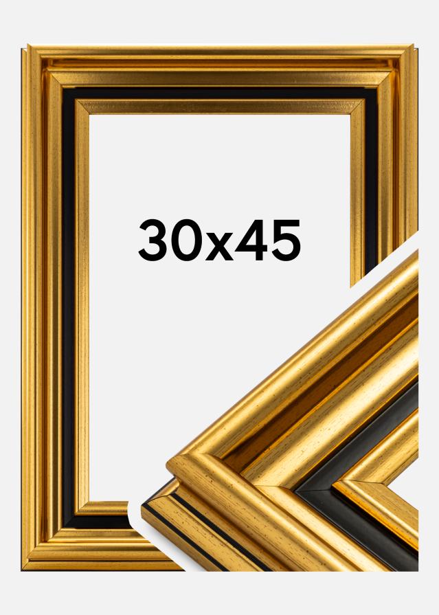 Ramme Gysinge Premium Guld 30x45 cm