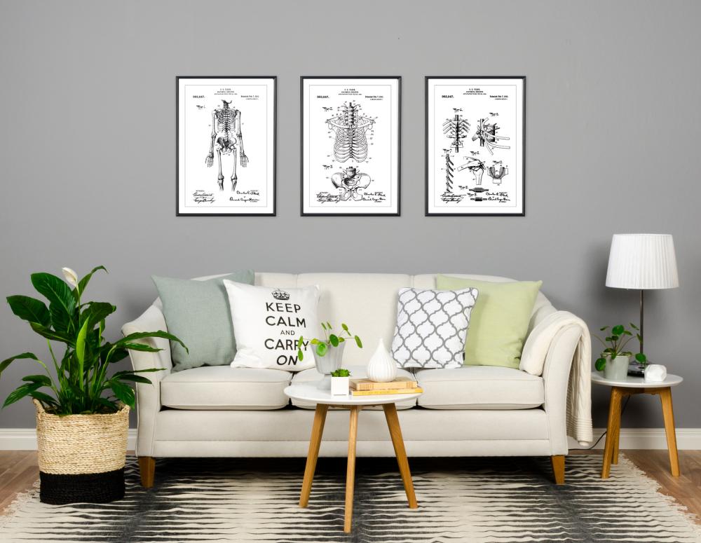 Patenttegning - Anatomisk Skelet I Plakat