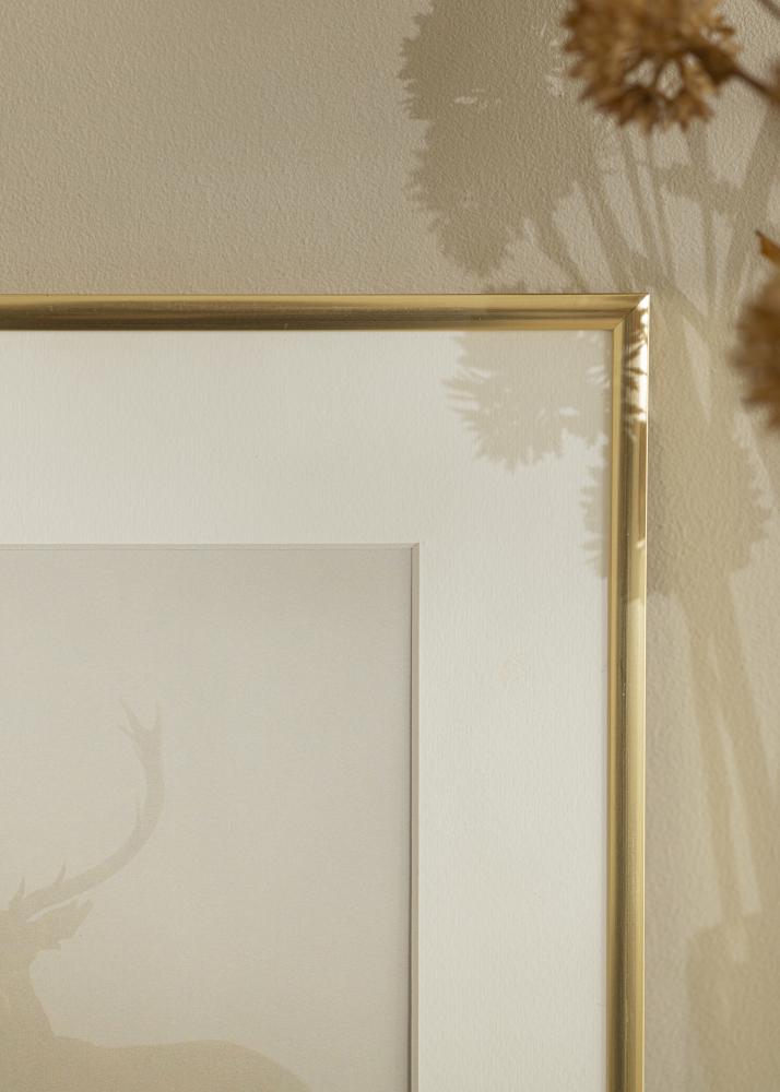 Ramme New Lifestyle Akrylglas Shiny Gold 70x100 cm
