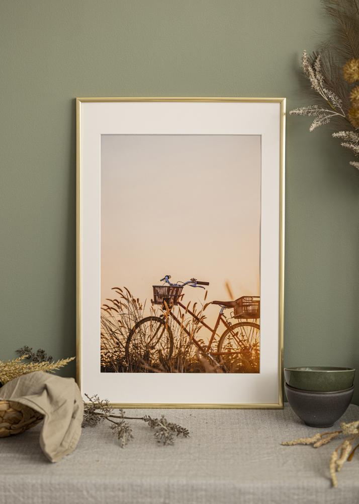 Ramme New Lifestyle Akrylglas Shiny Gold 70x100 cm