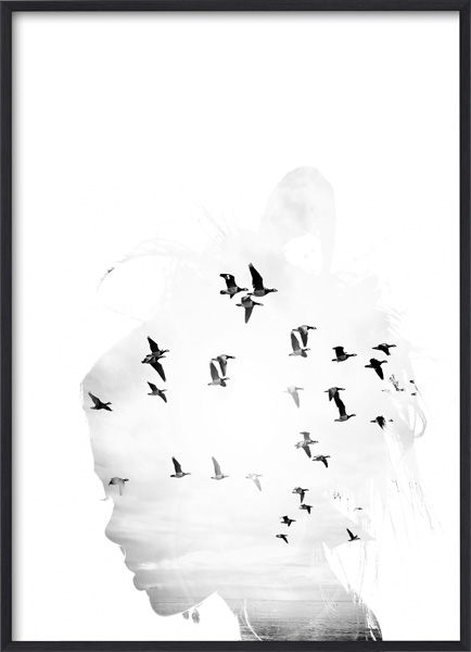 Bird Head B&W Plakat