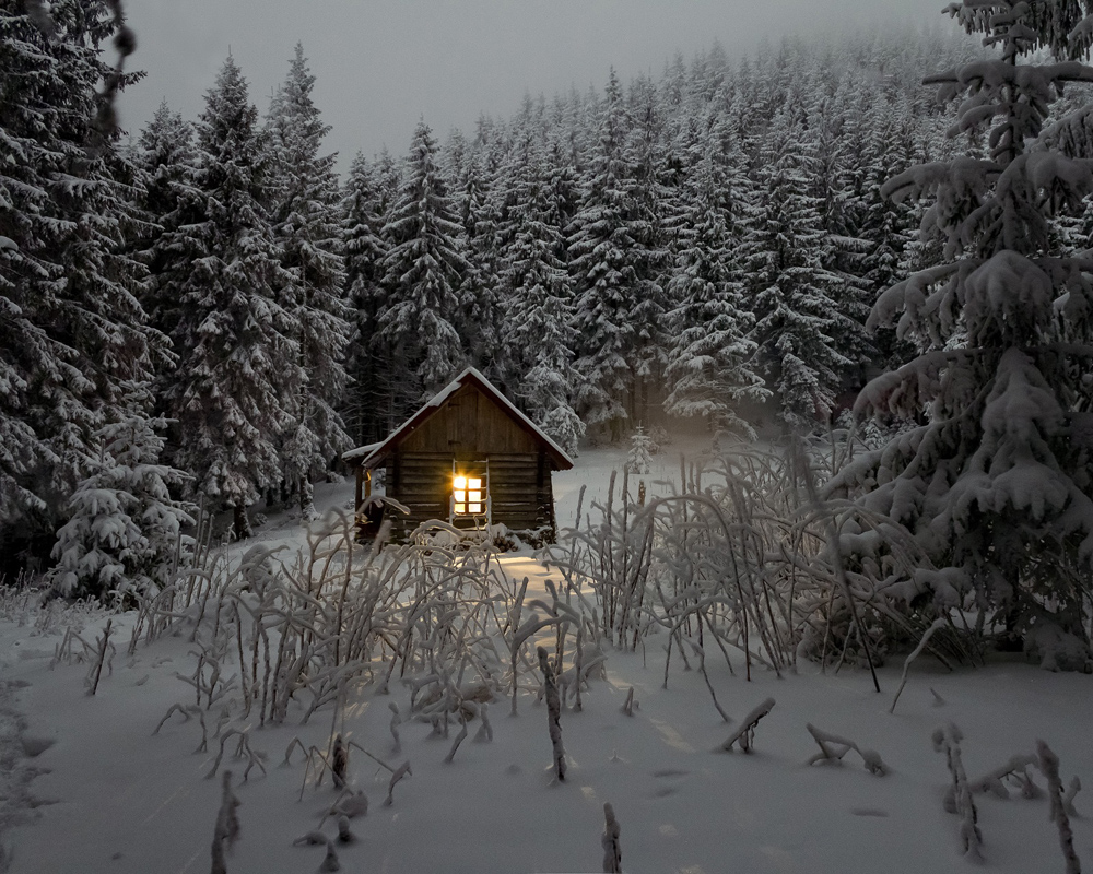 Sommerhus i vinterfrakke Plakat